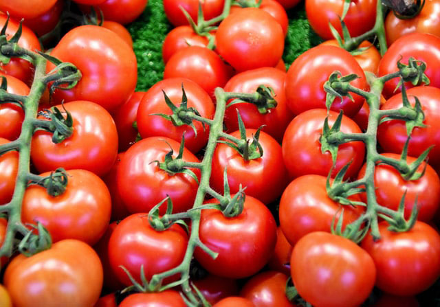 Tomatoes on the Vine