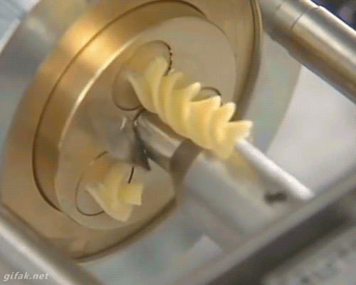 Pasta Extrusion